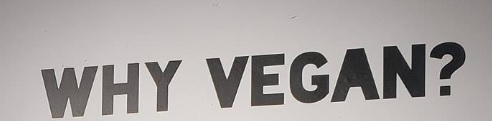 推介: Vegan Fitness