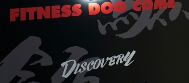 推介: Fitness Dog Come
